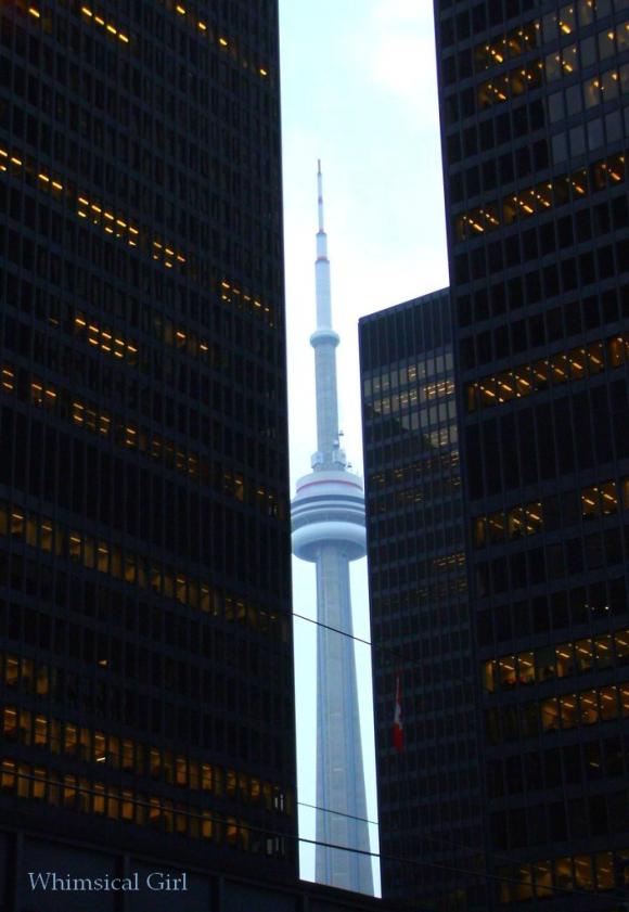http://maple.syrup.cowblog.fr/images/cntower.jpg